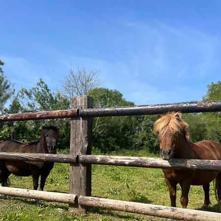 Вилла La Forge, Gite Familial,A Sainte Mere Eglise Экстерьер фото